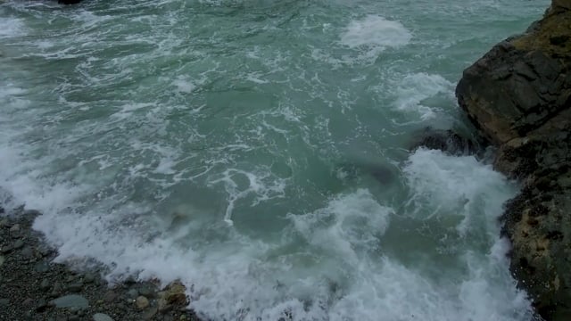 Ocean
